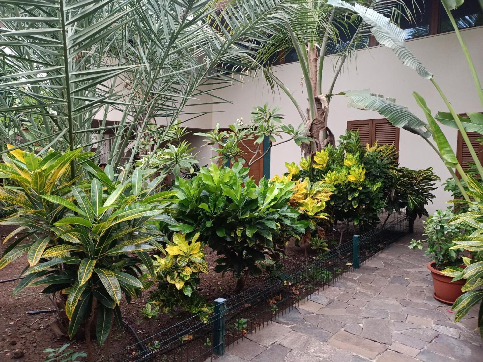 Casa Das Buganvilias Praia Exterior foto